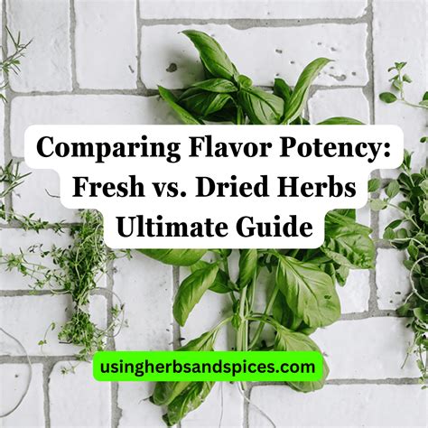 Comparing Flavor Potency: Fresh vs. Dried Herbs Ultimate Guide - Using