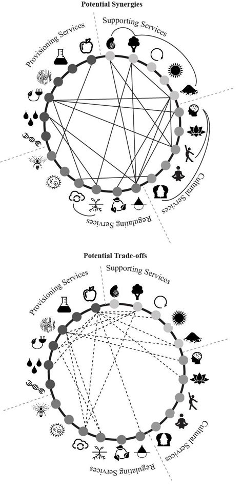 Potential Synergies And Trade Off Relationships Between Ecosystem Download Scientific Diagram