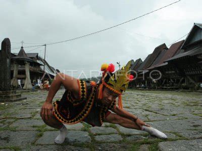 Lompat Batu Nias Antara Foto