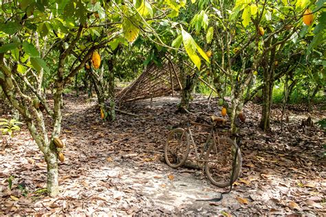 Project Profile: Creating Resilient Ecosystems and Transforming Rural