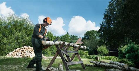 Бензопилы российского производства: обзор, характеристики. Как выбрать ...