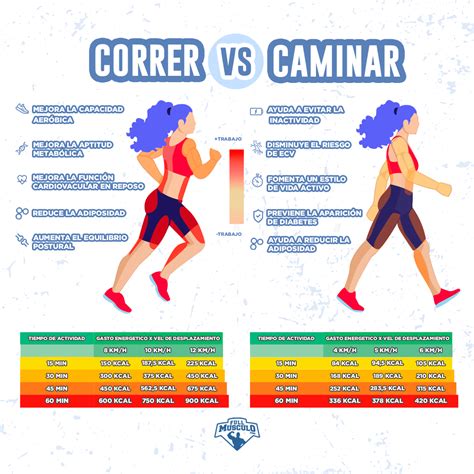 Caminar Vs Correr Para Perder Peso ¿cual Es Mejor • Fullmusculo