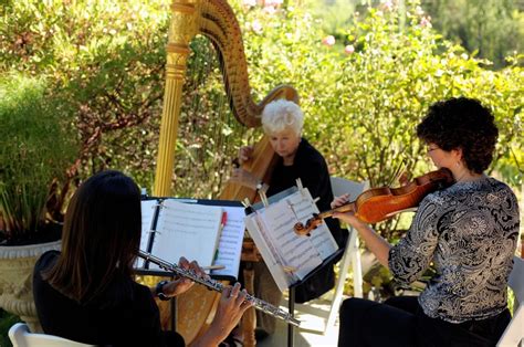 The Ceremony Band Ceremony Music Instruments Violin