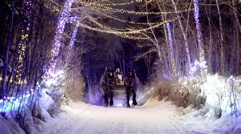 Things To Do This Weekend December 8 10 2023 Visit Red Deer