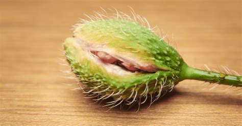 Why Does My Vagina Smell And What Is It Meant To Smell Like