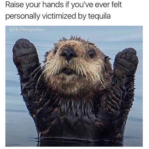 56 Savage Memes That Will Make You ROFL | eBaum's World