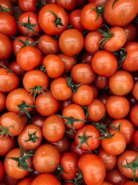 Muitos Tomates Vermelhos Maduros Para Comer Pano De Fundo Foto De Stock