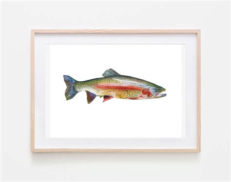 Rainbow Trout Print Rainbow Trout Art Print Trout Art Fly - Etsy