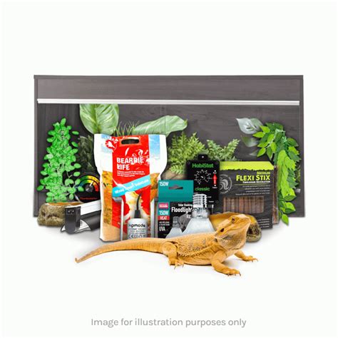 Bearded Dragon Kit Silver