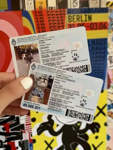 Dni C Dula Simb Lico Tarjeta Para Mascotas Perros Gatos En Venta En