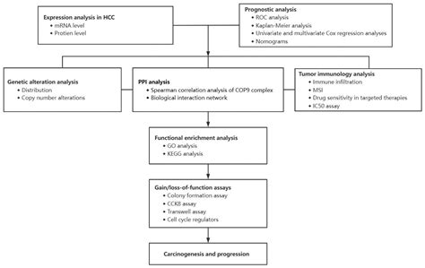 Cop Signalosome Complex Is A Prognostic Biomarker And Corresponds With