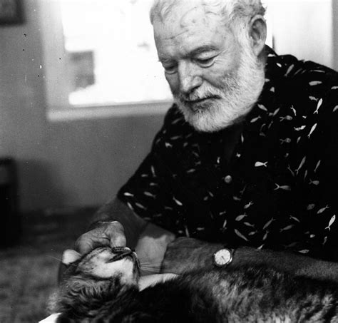 The Philosophy Of Ernest Hemingway Resilience And Absurdity