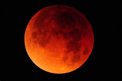 See It Super Blue Moon Eclipse Photos Human World Earthsky