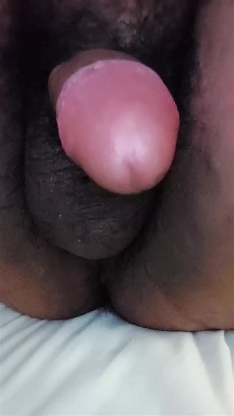 Showing The Goods Shemale Ladyboy Ladyboy Porn Feat Kristan XHamster