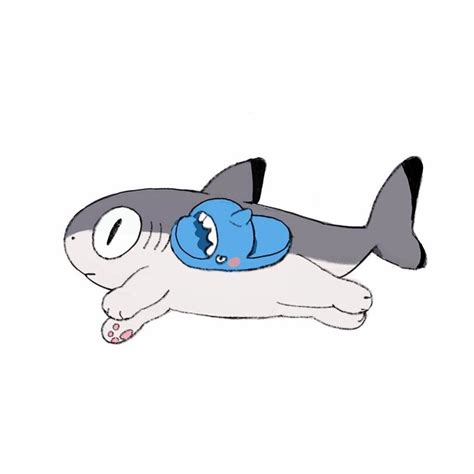 Котакула | Пикабу