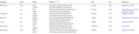 Parthenogenesis And Sex Ratio Distorting Bacteria In Empoasca