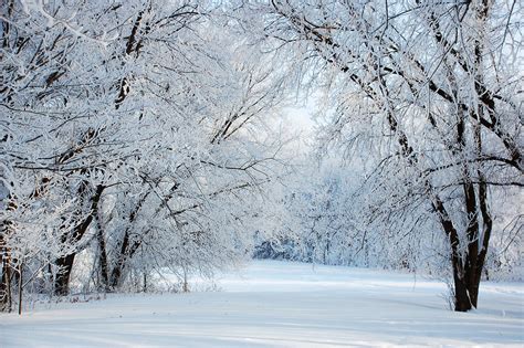 Winter Wonderland Wallpapers - Top Free Winter Wonderland Backgrounds
