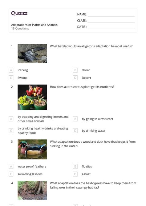 Natural Selection And Adaptations Worksheets On Quizizz Free