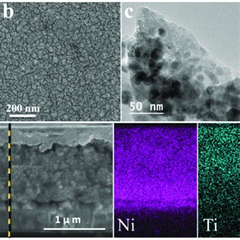 Micro Structure Of NiO PB6 TiO 2 A And B SEM Surface Images Before