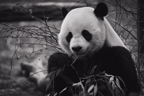 Important functions of Pandas for Data Analysis. | by Kriti Yadav | Medium