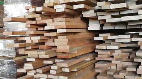 jenis kayu sumatera  wajib diketahui rajawali parquet