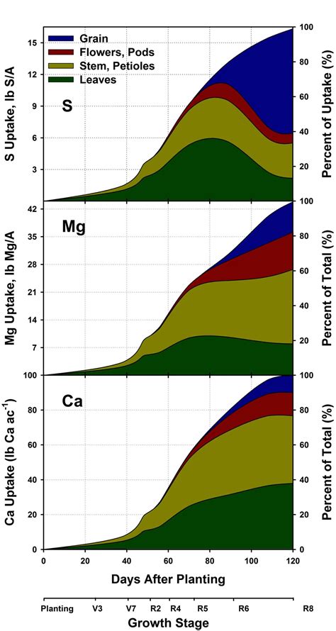 Nutrient Uptake And Partitioning Crop Physiology