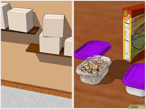 how to get rid of silverfish in bedroom