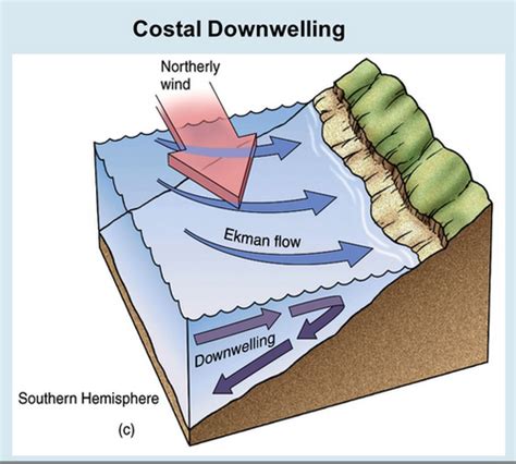 Ocean Circulation Flashcards Quizlet