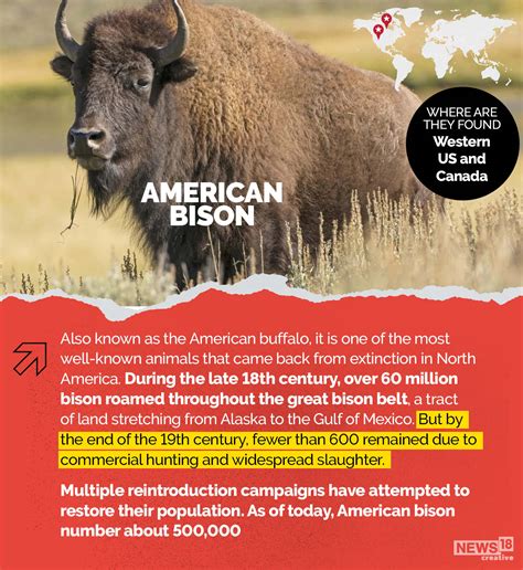 Back From the Dead: Eight Animals That Came Back from the Brink of