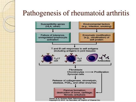 PPT Understanding Osteoarthritis Rheumatoid Arthritis PowerPoint