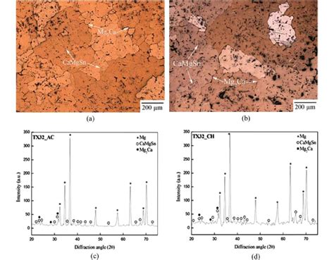 Optical Micrographs Of TX32 Magnesium Alloy In A Cast Homogenized