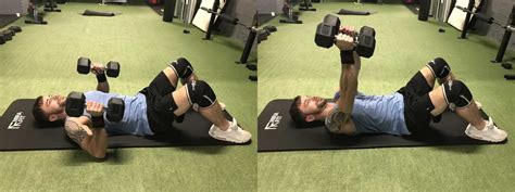 19 Variations Of The Dumbbell Chest Press | Anywhere Fitness