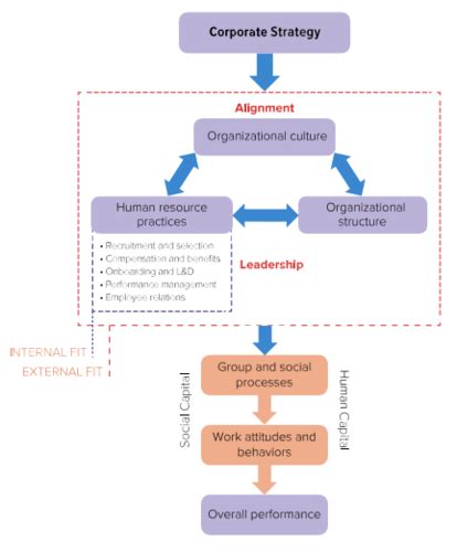 Mgmt Ch 9 Human Resource Management Flashcards Quizlet