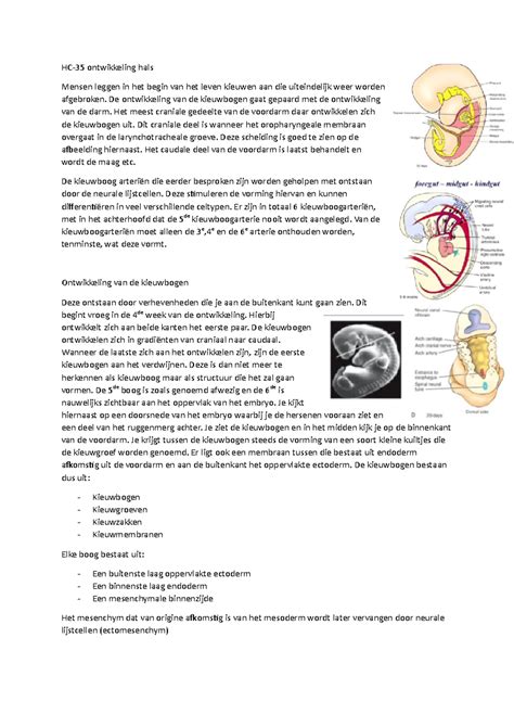 Hc Samenvatting College Van Mens Tot Cel Bestaande Uit Hoorcollege