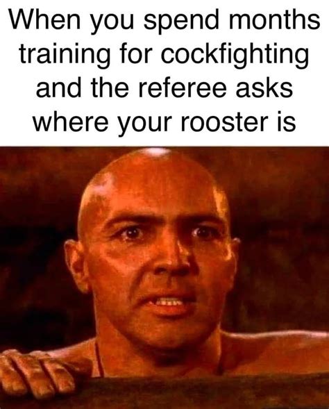 Just Make Sure You Know A Little Cock Magic As Well 9gag