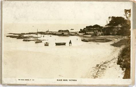Black Rock Victoria Rose Stereograph Company 192 P7638 Ehive