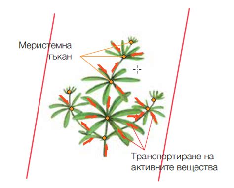Секатор® ОД - Хербицид за пшеница и ечемик - Bayer Crop Science България