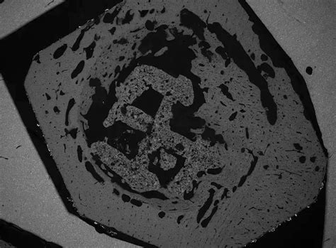 3D-printed, coral-inspired material can heal bones | Popular Science