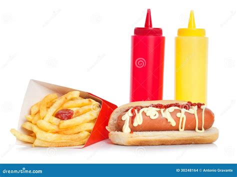 Fresh And Tasty Hot Dog With Fried Potatoes Stock Photo Image Of