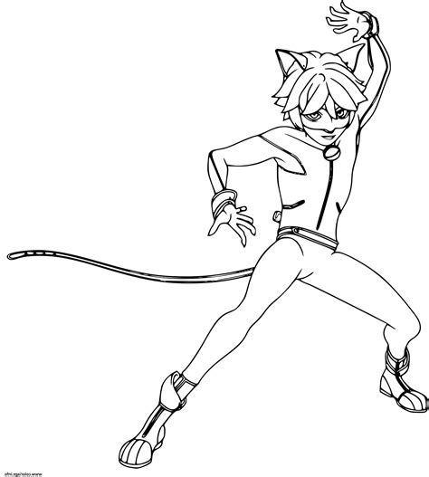 Coloriage Miraculous Ladybug Et Chat Noir A Imprimer Dessin Chat Ligne