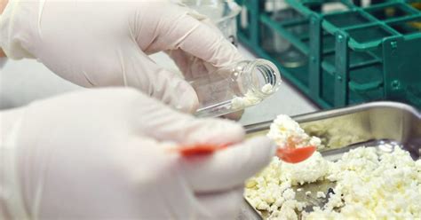 Зернистый творог: что это такое и как его делают - Со Вкусом