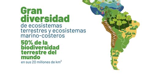 Reas Naturales Bien Protegidas En Am Rica Latina Y El Caribe