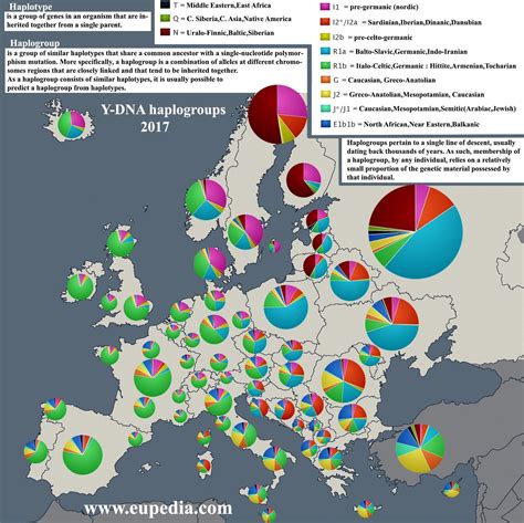 Most Common Y Dna Haplogroups Around Europe For Non Immigrant