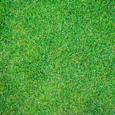 Grass Seamless Stock Photos, Images and Backgrounds for Free Download