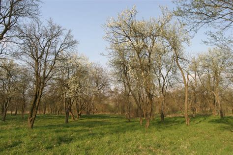 Hortobágyi Nemzeti Park Természetvédelem