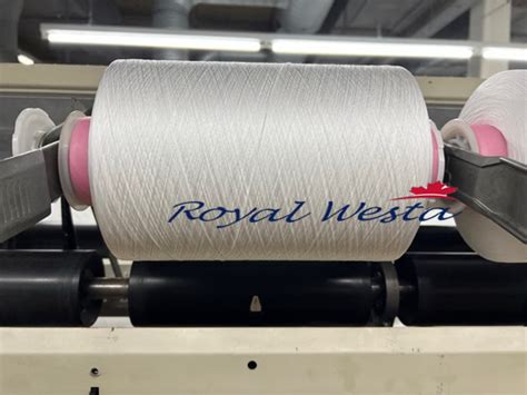 Royal Westa International Textile Machinery Corp Icbt Two For One