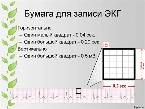 ekg_end - презентация онлайн