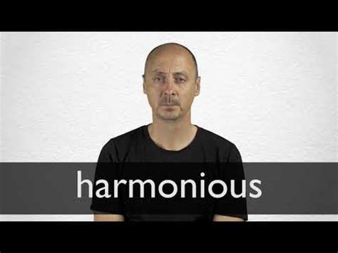 harmonious definition  meaning collins english dictionary