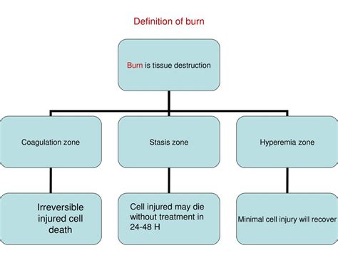burn sheet powerpoint    id