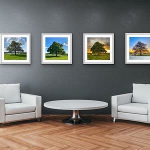 Single Oak Tree 4 Photo Set Four Seasons Lone Tree Photo Prints Wall ...